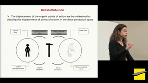 PHITECO 2013 - Distal attribution in touch