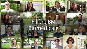 Filière Biomédicale, Génie biologique