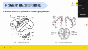 TD2-Exposé_neurosciences_sc12.mov