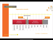 Organisation des études