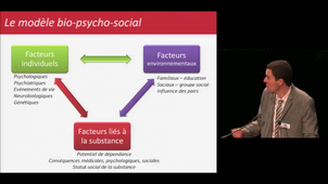 Les recherches dans le domaine des sciences humaines et sociales en alcoologie