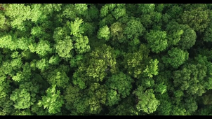 Carbon Capture and Mirage