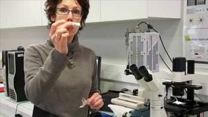 Caractérisation des propriétés des microcapsules